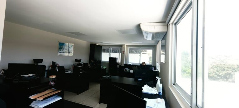 WhatsApp Image 2024-03-11 at 11.35.16 AM (3)